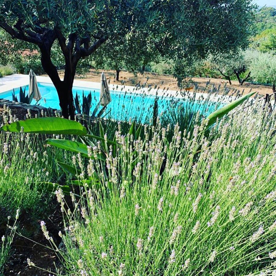Flayosc Le Clos En Provence מראה חיצוני תמונה